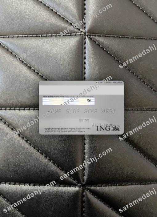 Netherlands ING bank visa card platinum photolook back